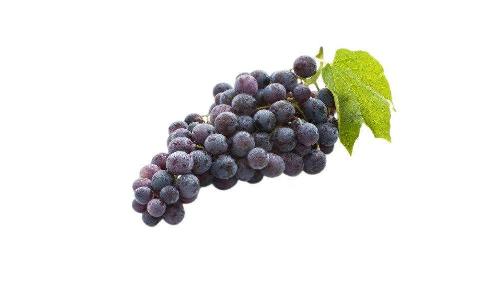 Crno grožđe 1kg