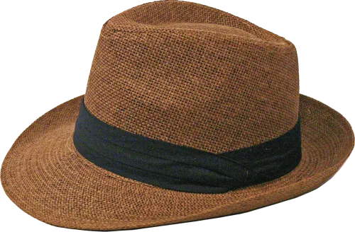 Muški šešir – smeđi s crnom trakom, 1 kom.