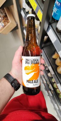 PIVO ZMAJSKO PALE ALE 0,5 L